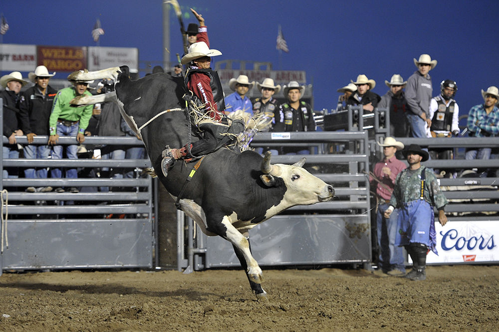 PHOTOS: Bucking bulls at the 2015 Professional Bull Riding at the ...