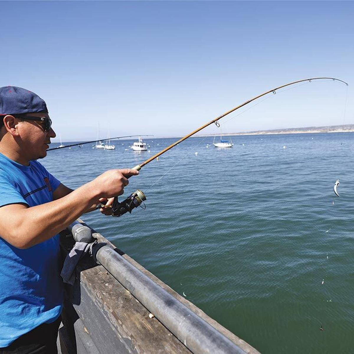 Monterey's municipal wharf draws fishermen as much to hang out as to  actually catch fish., 831 (Tales from the Area Code)