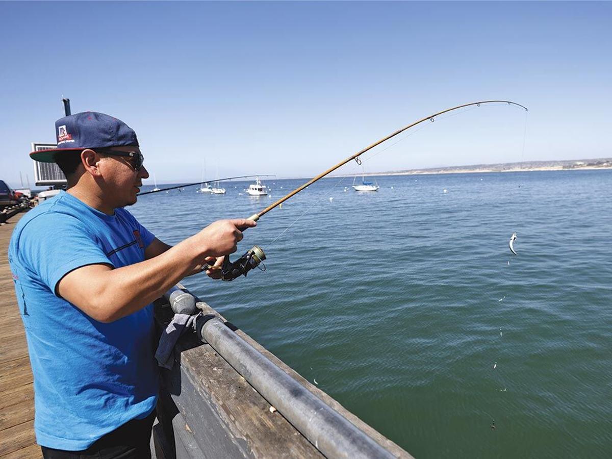 Monterey's municipal wharf draws fishermen as much to hang out as to  actually catch fish., 831 (Tales from the Area Code)