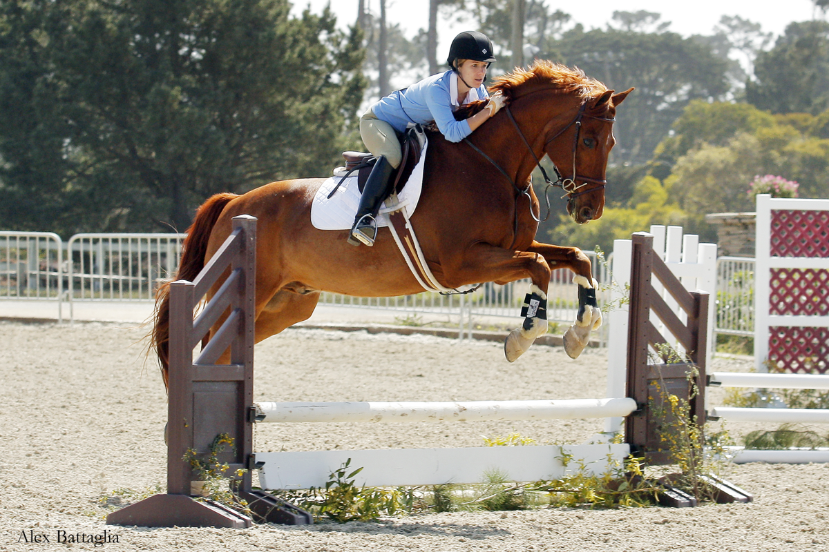 Horse Show At Pebble Beach Equestrian Center Events And Horse Show At Pebble Beach Equestrian
