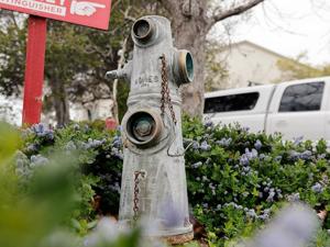 Image for display with article titled Local Officials Wrestle With Thefts of Fire Hydrant Caps