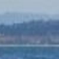 Open-water swimming off Pacific Grove's coast nets a dozen ...