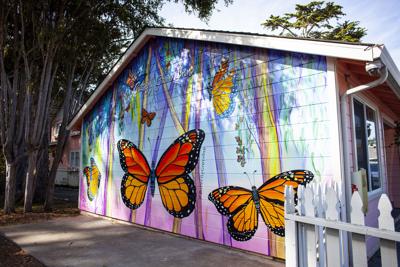 Butterfly Mural