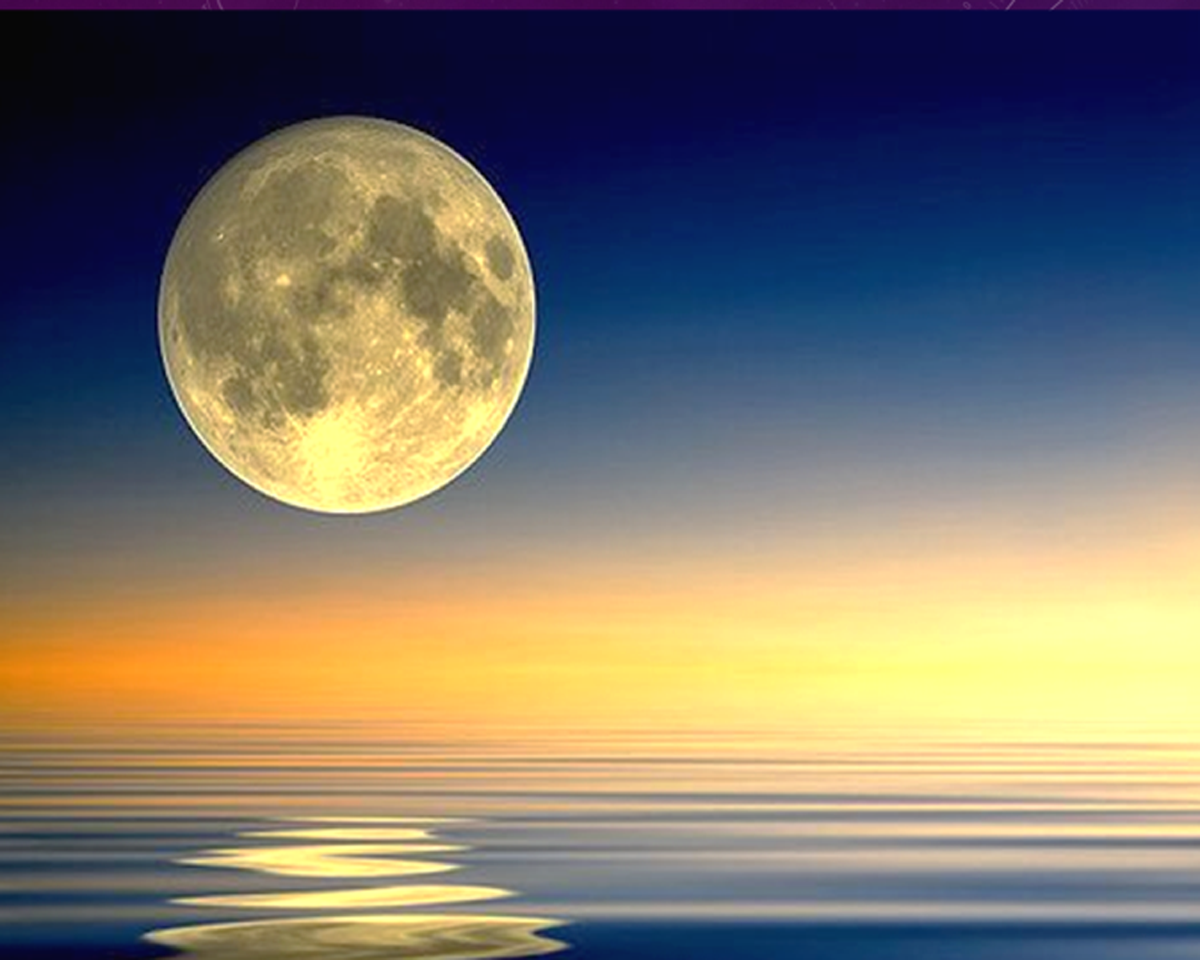 Harvest Moon Festival at the Center for Spiritual ...