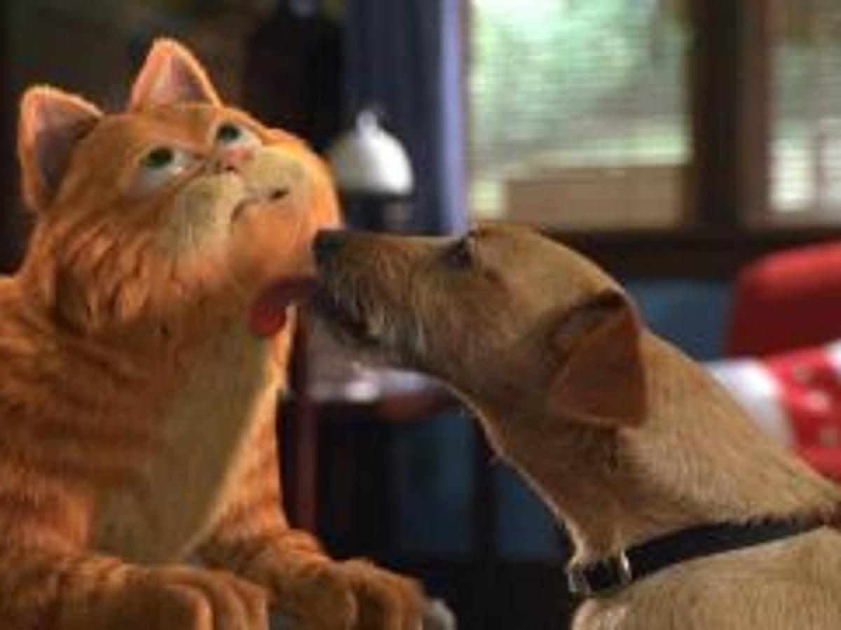 Fat Cat Garfield Comes To Life Through Bill Murray Local News Montereycountyweekly Com