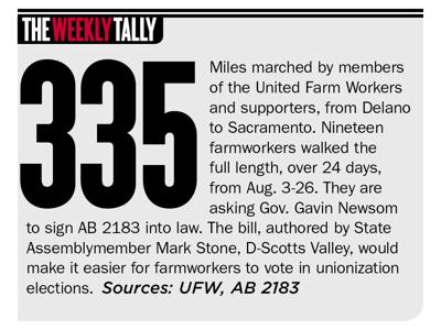The Weekly Tally 09.08.22