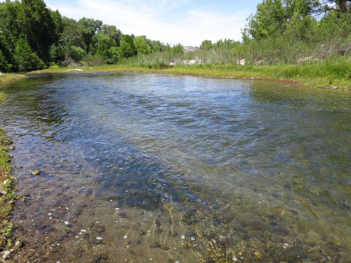 PHOTOS: Traveling the Salinas River, from headwaters to ...