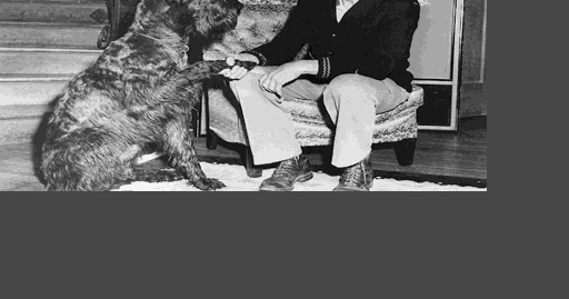 General Stilwell died in 1946. His legacy lives on, both in Monterey County and abroad. - Vimarsana News