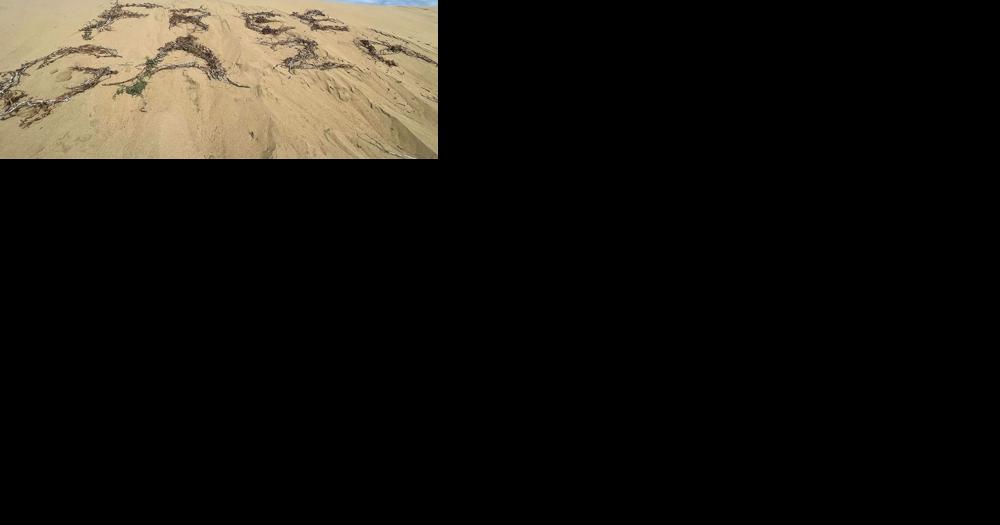A confrontation in Sand City brings the polarizing divide over the Israel-Palestine conflict to Monterey County. - Vimarsana News