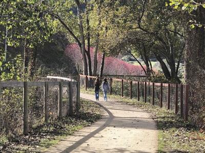 Take a walk on the South Bank Trail.