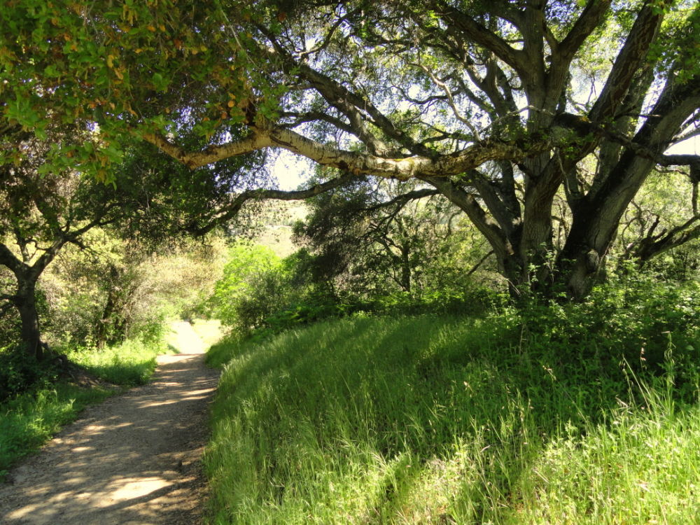 Annual Summer Wildflower Show at Garland Park | Family Fun / Kids ...