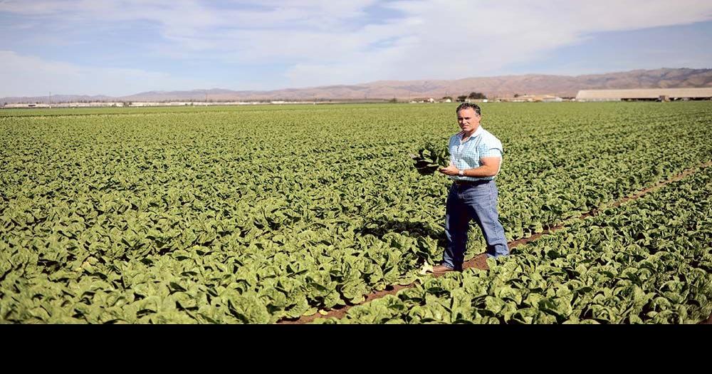 Soledad Family Farm Blows Up Into One Of California S Biggest Organic Producers Cover Collections Montereycountyweekly Com