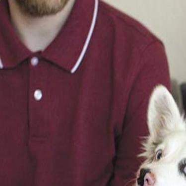The Salinas Corgi Mix Taking Social Media By Storm Enjoys