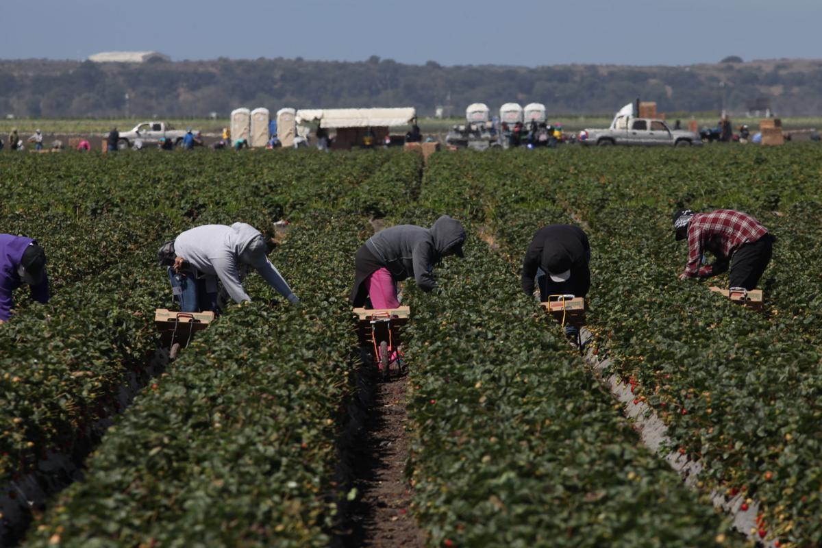 18 farm workers hospitalized for suspected insecticide exposure. | News ...