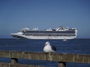Image for display with article titled Monterey City Council Seeks to End Cruise Ship Services