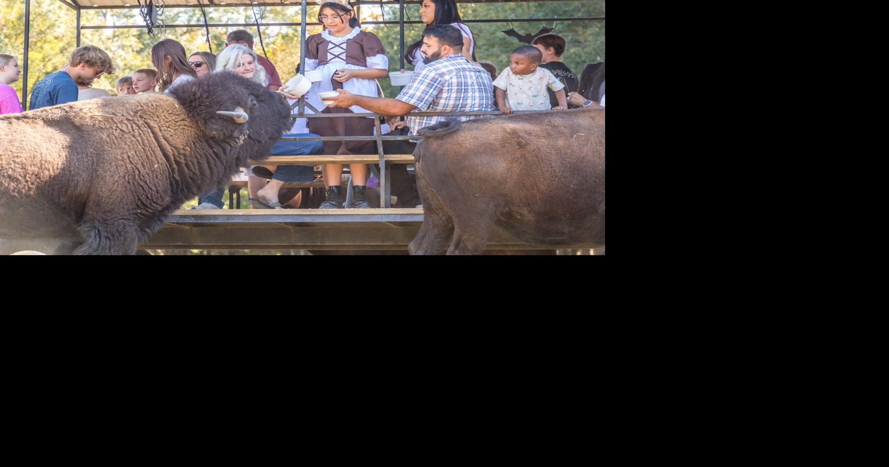 Spooky Safari at Alabama Safari Park offers Halloween fun for families