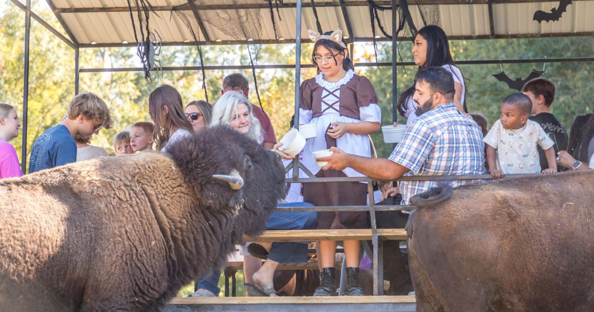 Spooky Safari at Alabama Safari Park offers Halloween fun for families