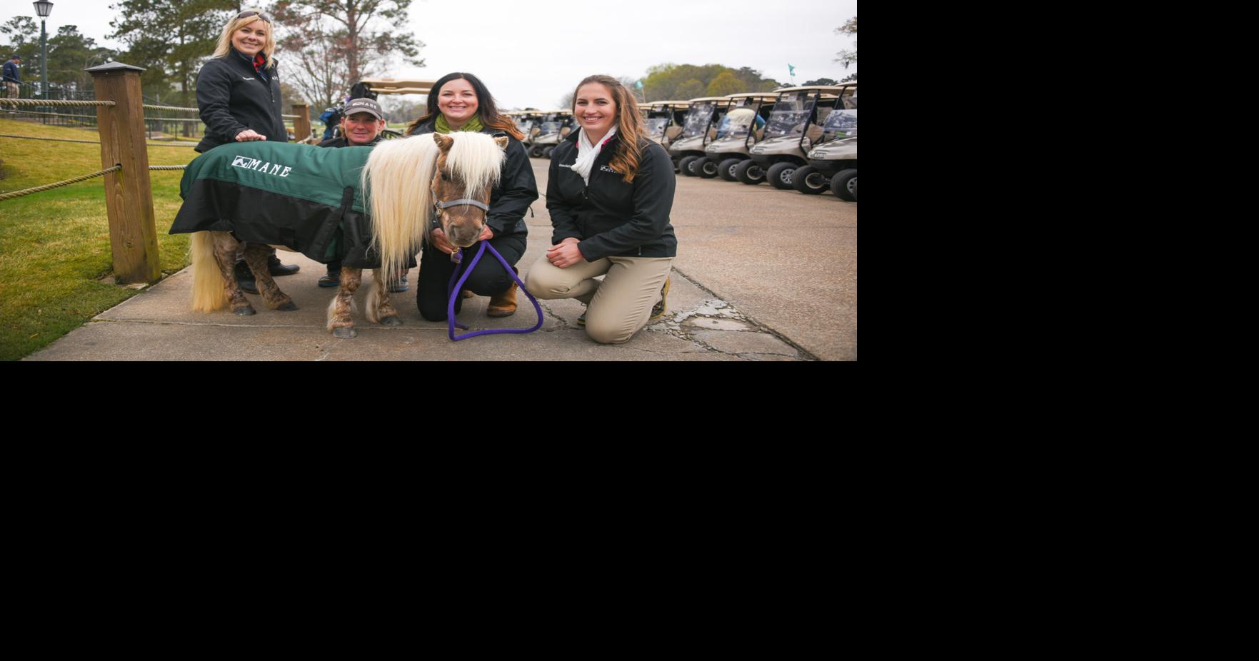 MANE’s 2019 Course for Hope Golf Tournament, Dinner and Auction ...
