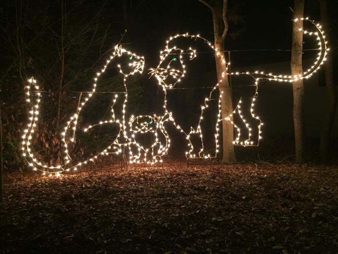 Montgomery Zoo Christmas Lights 2025