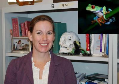 Researching Aum Chelsea Ward Thinks Amphibians Toadily Rock News Montgomeryindependent Com