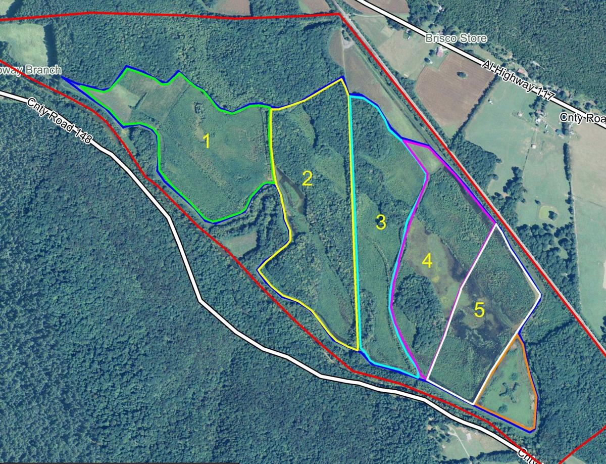 Alabama’s Wildlife Management Areas News