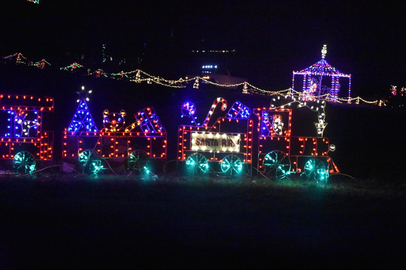 PHOTOS Christmas Wonderland of Lights at Zootastic Gallery