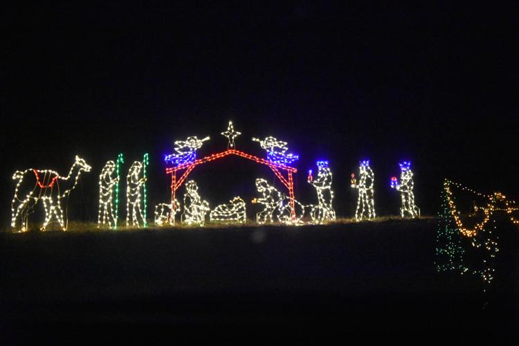 PHOTOS: Christmas Wonderland of Lights at Zootastic | Gallery | mooresvilletribune.com