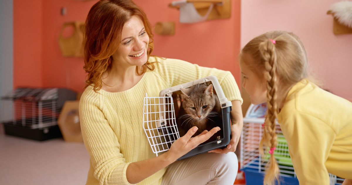 Wagging the Chain: Blockchain Solutions for Ethical Pet Ownership