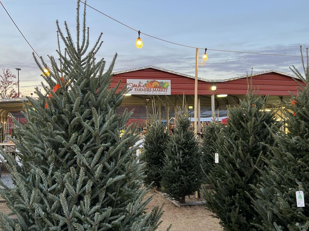 Christmas Tree Shortage North Carolina 2022 Josh's Farmers Market Ready To Spread Cheer At Christmas Tree Lot Despite  Shortage | Latest Headlines | Mooresvilletribune.com