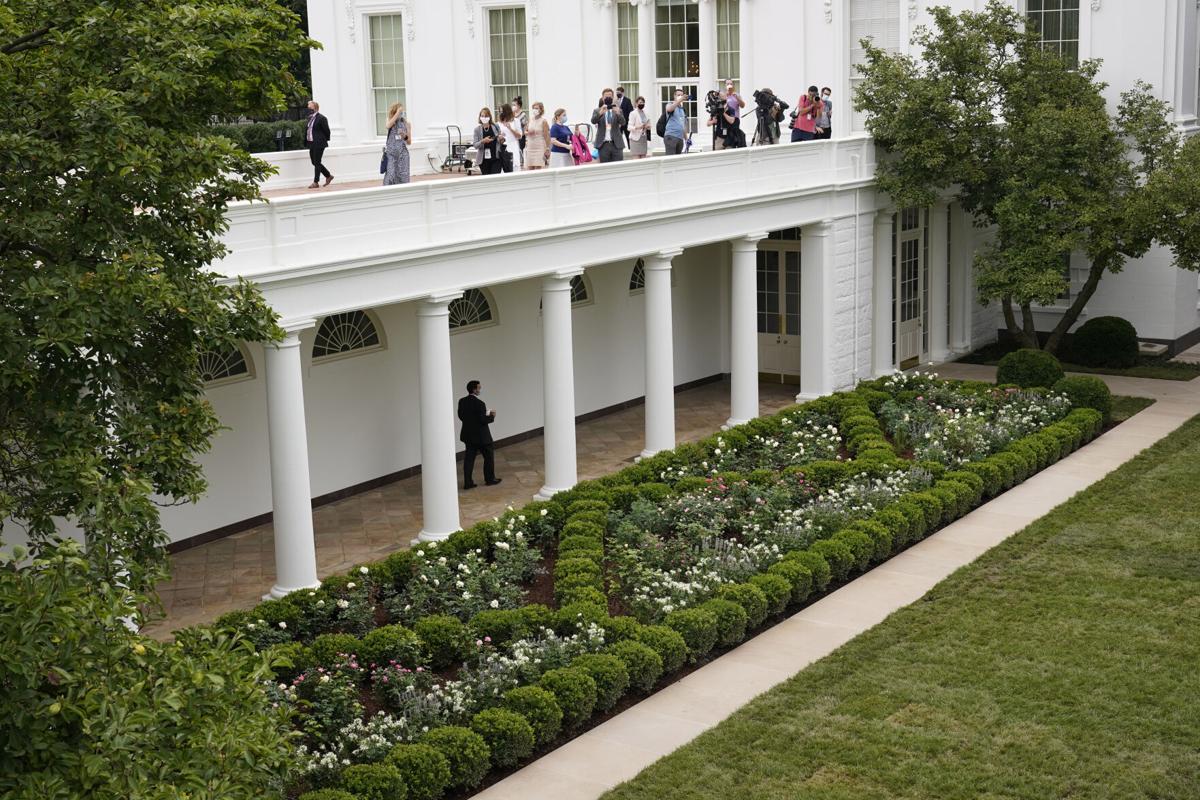 Photos An Up Close Look At The Newly Renovated White House Rose Garden National News Mooresvilletribune Com