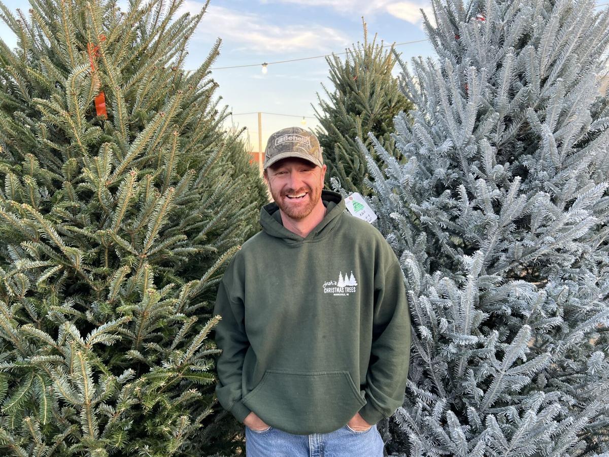 Christmas Trees Nc Farmers Market 2022 Josh's Farmers Market Ready To Spread Cheer At Christmas Tree Lot Despite  Shortage | Latest Headlines | Mooresvilletribune.com