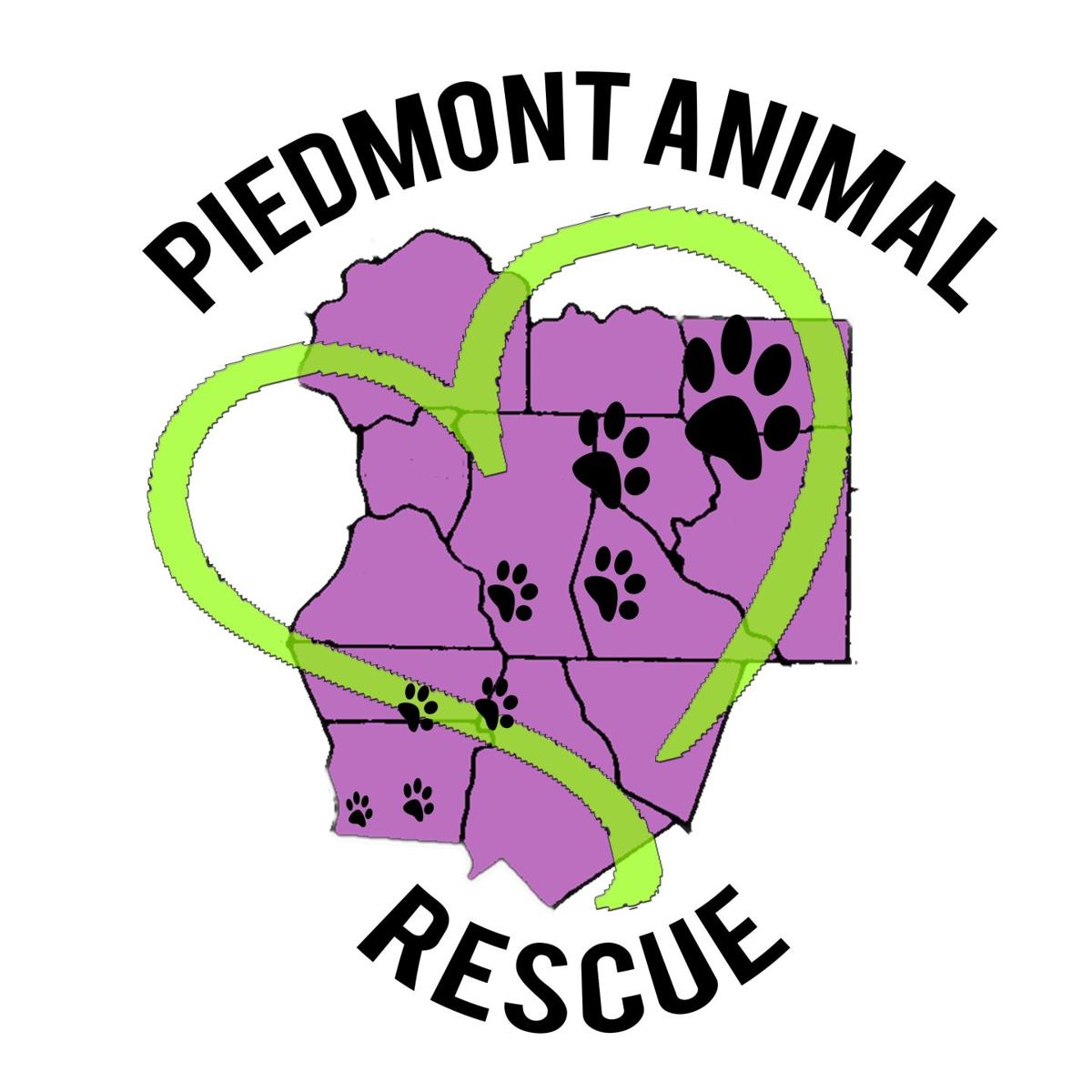Shelter In The Storm Iredell Animal Group Takes In Rescue Dogs From Coast Local News Mooresvilletribune Com