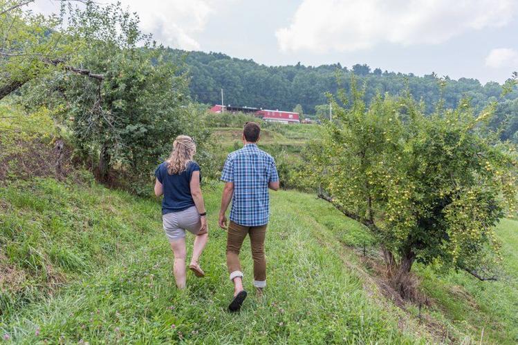 Gorges and Grand Views: Explore the Wild Side of McDowell County