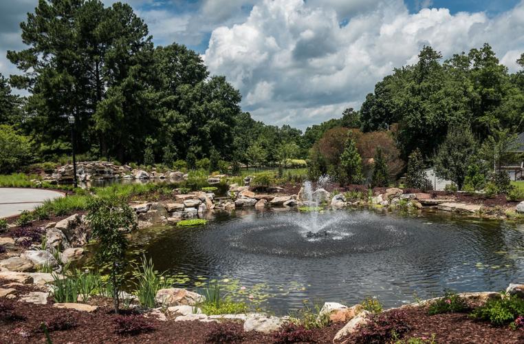 Water Garden
