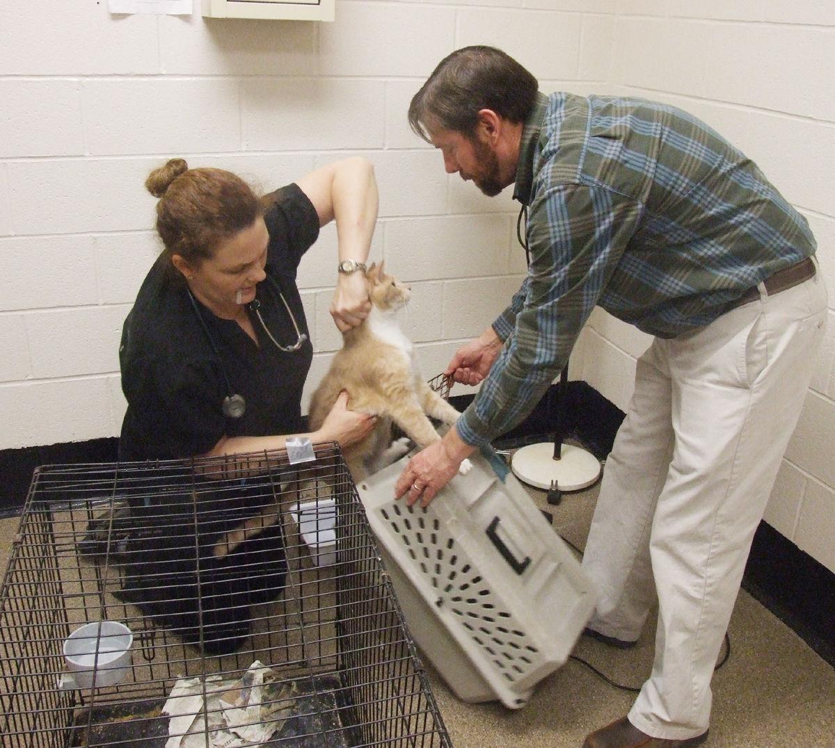 Iredell County Animal Control Director Vet Suspended Latest Headlines Mooresvilletribune Com
