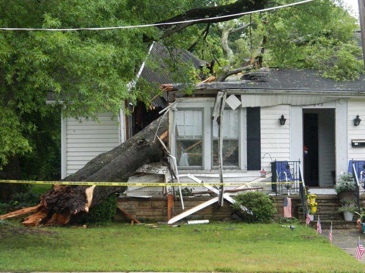 Storm Fells 150 Year Old Family Tree Copy Mooresvilletribune Com