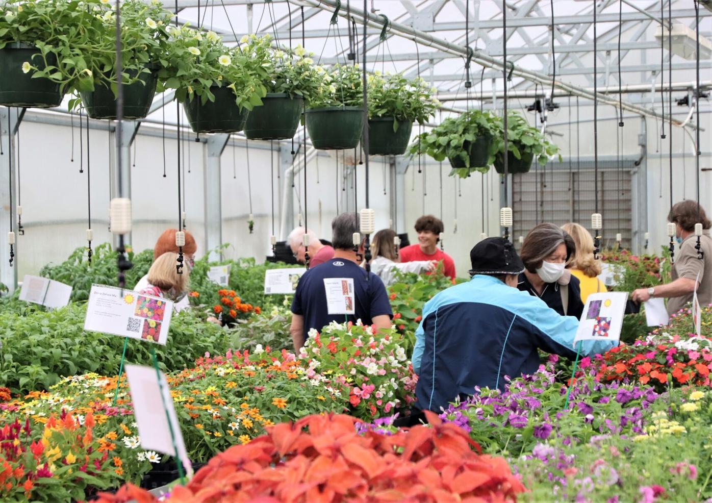 FFA has successful plant sale News