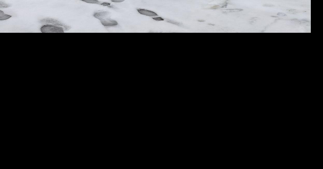 Snow Day In Morgan County | News | morgancountycitizen.com