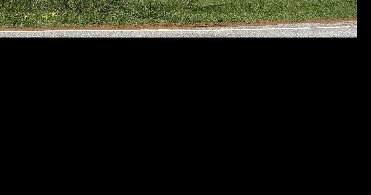 Off Duty Deputy Dies In Motorcycle Crash | News | morgancountycitizen.com