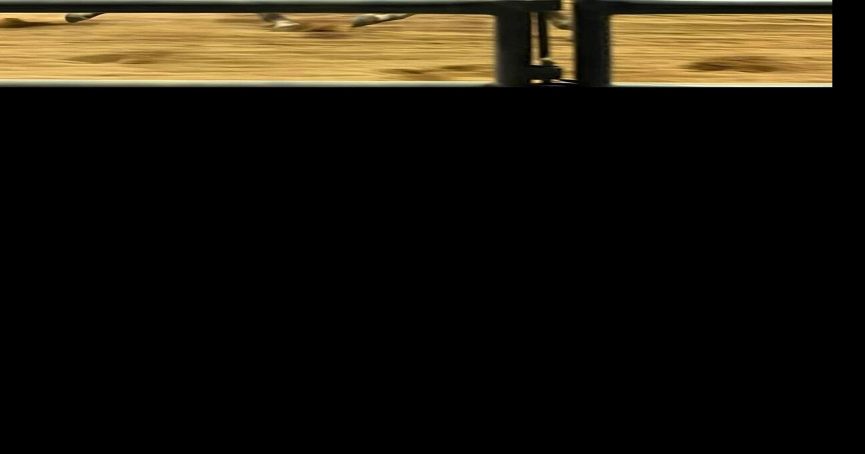 Greene County Rodeo set for April 24, April 25 | News ...