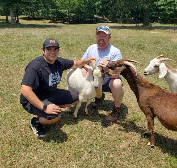 Pizza delivery man turns into goat wrangler for thankful customer |  Business 