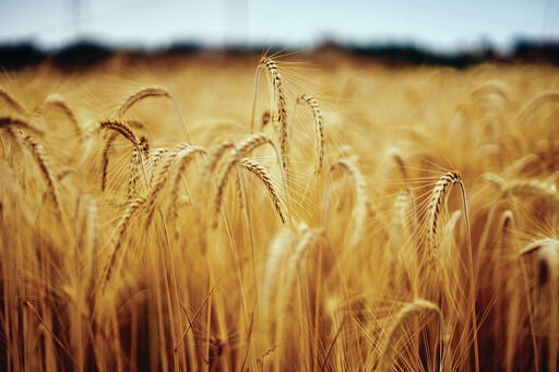 Farming generic pic