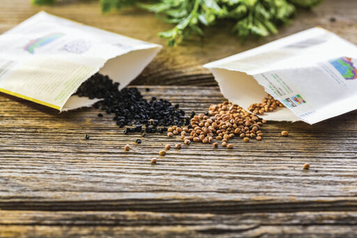 seeds generic pic