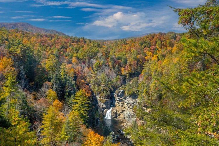 10 Favorite Fall Activities