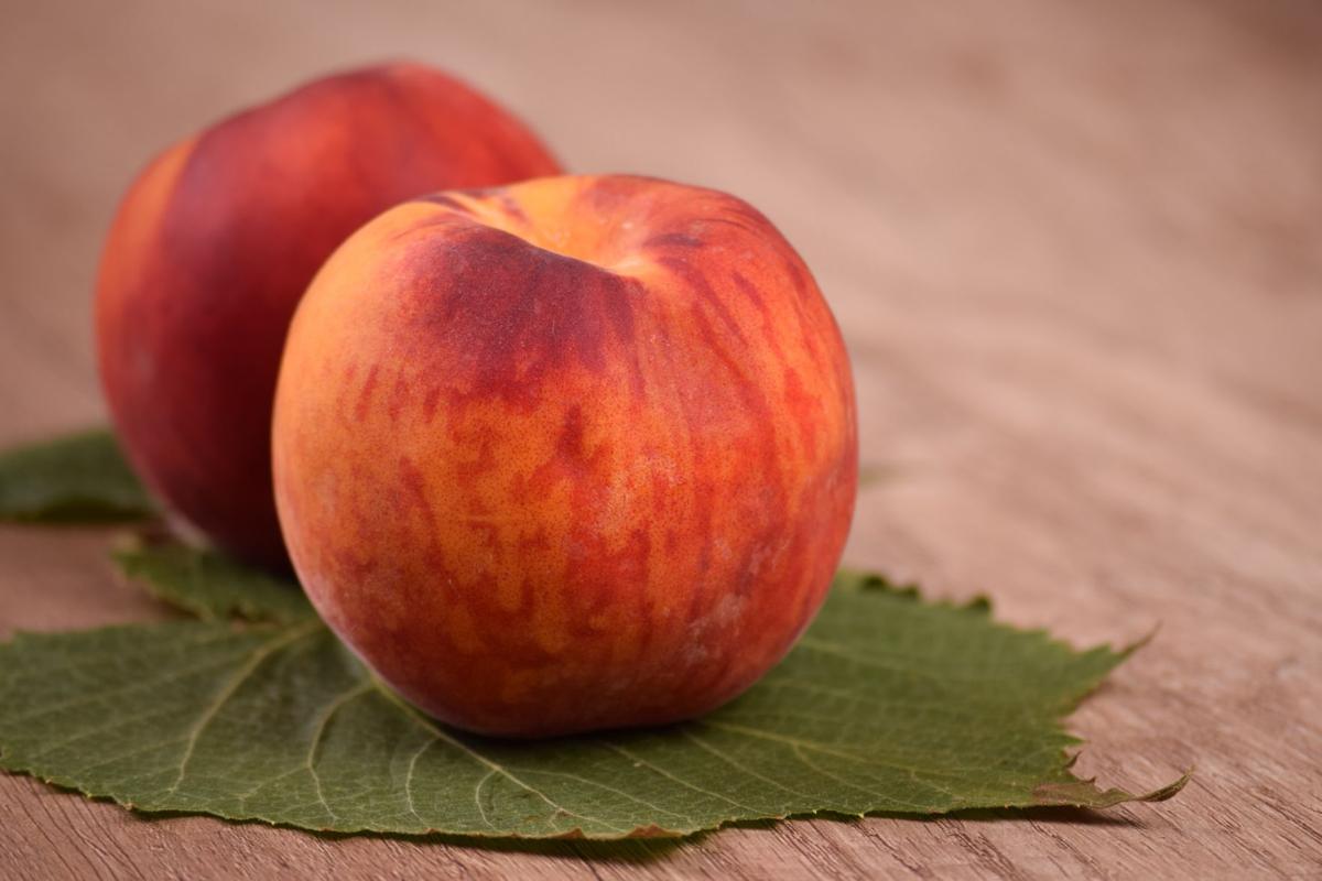 fruit