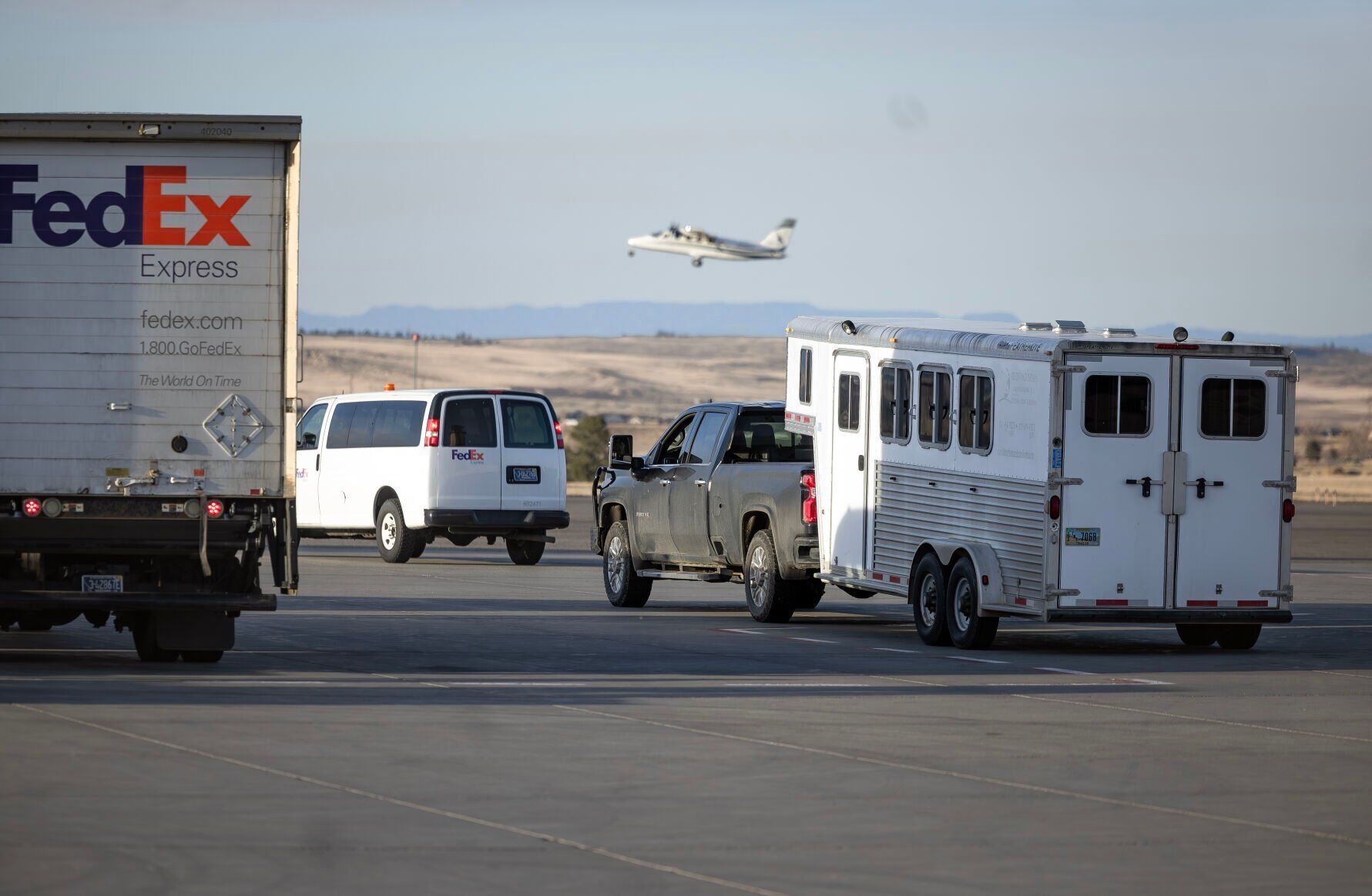 Horse flies from Alabama to Billings for amputation in Cody