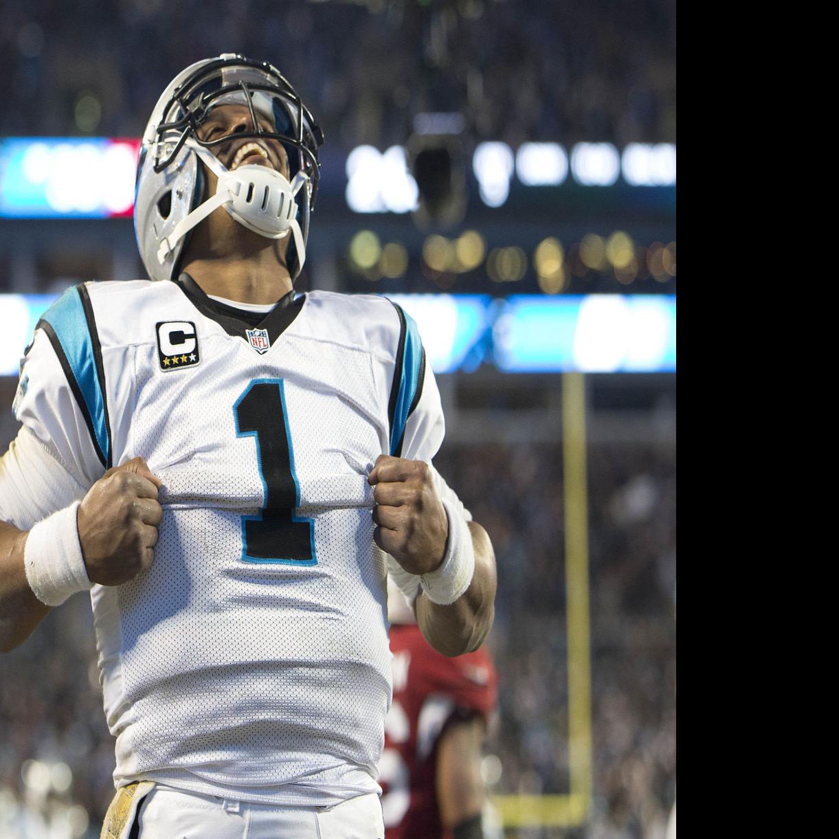 The Charlotte Observer - Panthers win 49-15! NFC Champions!