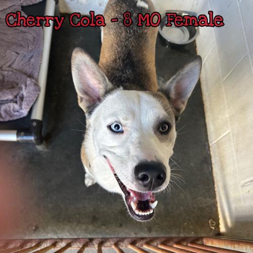 Cherry-Cola.jpeg