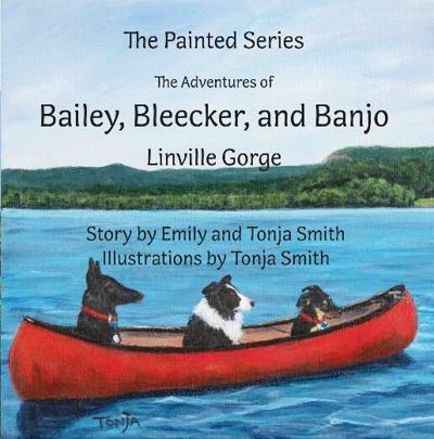Bailey Bleeker Banjo book cover