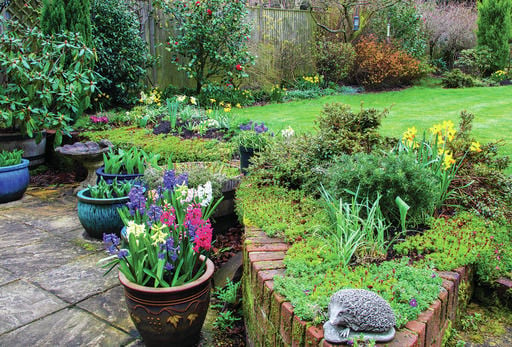 Proper Planning Can Make For Year Round, Year Round Green Plants For Landscaping